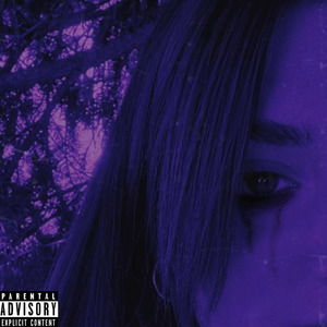 Фотографии