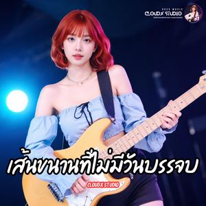 เส้นขนานที่ไม่มีวันบรรจบ