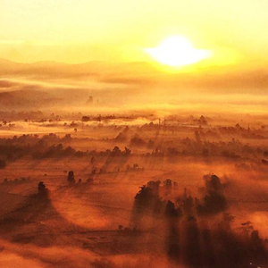 浅音（feat.赤羽）