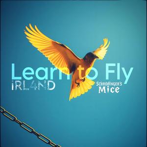 Learn to Fly (feat. Schrödinger's Mice)