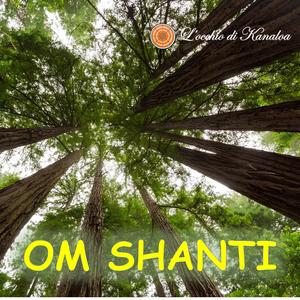 OM SHANTI (Musica per meditazione a 432Hz)