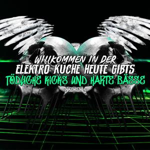 Willkommen in der Elektro Küche heute gibts tödliche Kicks und Harte Bässe!