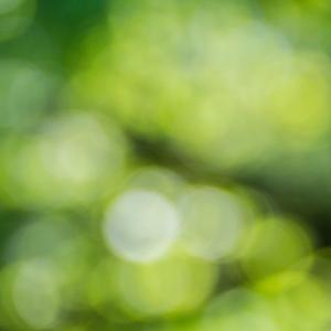 CHaZo-想你（OldHoliday旧假日 remix）