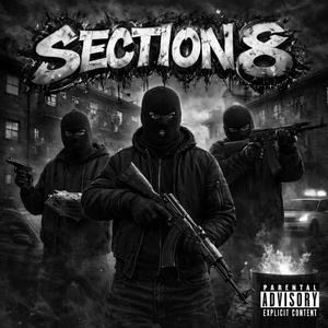 Section 8