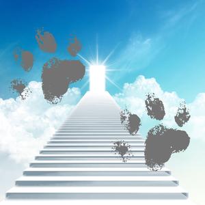 ADGTH (Special Version)