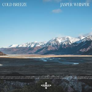 Cold Breeze (feat. Flame Timo & Sensory Meditation)