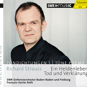 Ein Heldenleben (A Hero's Life), Op. 40, TrV 190:Des Helden Walstatt (The Hero's Field of Battle) -