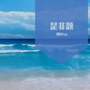 是非题（翻自 范玮琪）