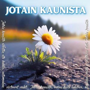 Jotain kaunista
