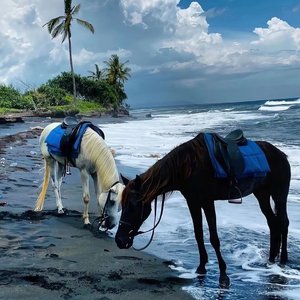 LetTalk About A Man（Salao remix）