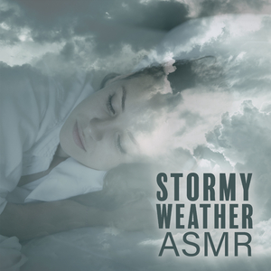 Enjambre de Abejas en el Bosque