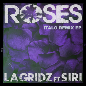 Roses (Iker Sadaba Italo Remix Extended)