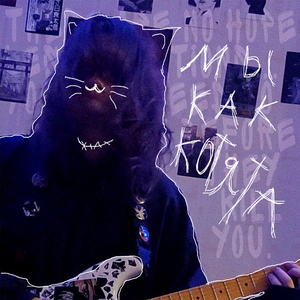 Мы как котята