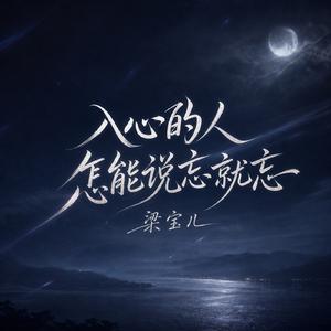 入心的人怎能说忘就忘