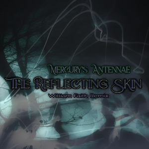 The Reflecting Skin (William Faith Remix)