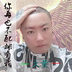 你再也不配拥有我伴奏