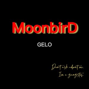 GELO（prod by CIRCLECL)