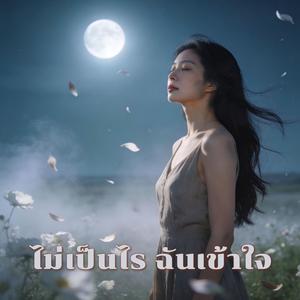 ไม่เป็นไร ฉันเข้าใจ