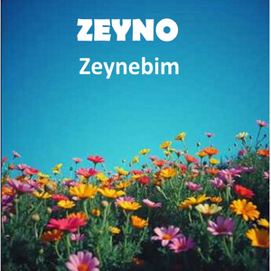 Zeynebim