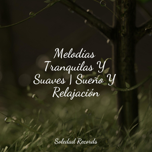 Vibraciones Tranquilas