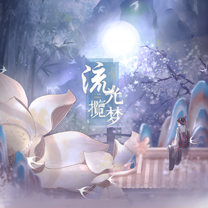 流光揽梦