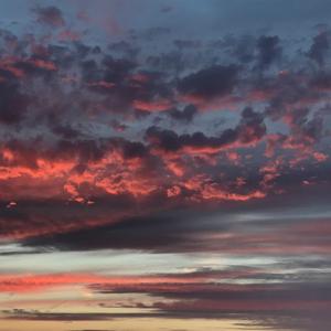 少女的浪漫旅行