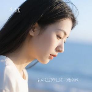 我们走过了那么多天 (Cover 朱添泽)