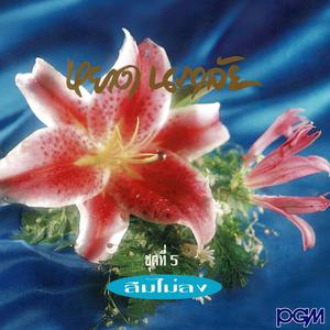 ที่รักคืนนี้ฉันจะฝันถึงเธอ