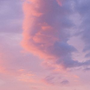 忧郁的猪（Prod By Ljx Ghost）