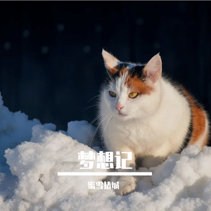 月光下的追梦人