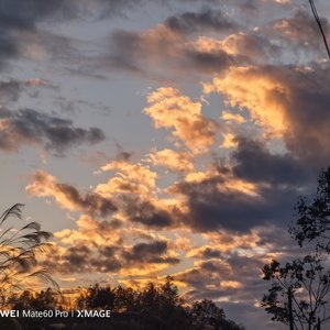 依赖过后再失去