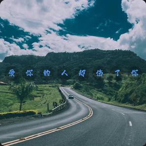 爱你的人却伤了你dj版