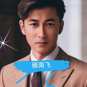 雁南飞