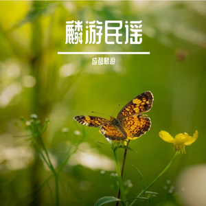 窗台那阵风