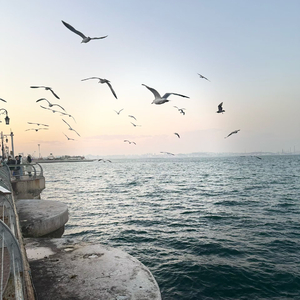 冬天时疏远（伴奏）