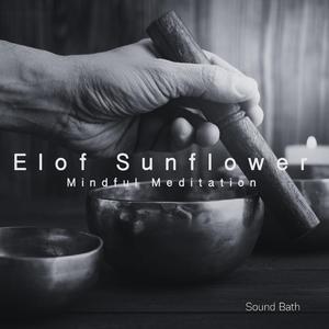 संस्कृतम्