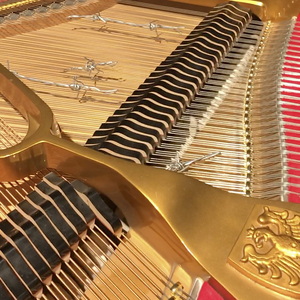 Forme uniche 1 per piano spinato (feat. Antonio Zambrini)