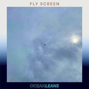 Fly Screen