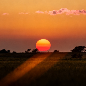 真心和温暖的手