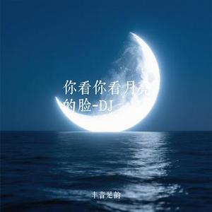 你看你看月亮的脸 (DJ版)(Cover 孟庭苇)