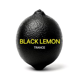 Dust Archive 먼지의 아카이브