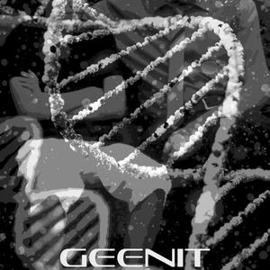 Geenit