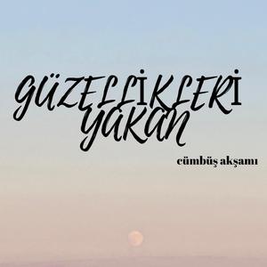 Cam Kırıkları