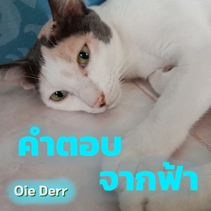 คำตอบจากฟ้า