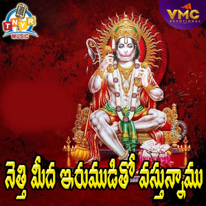 Nethi Meeda Erumudi To Vasthunamu