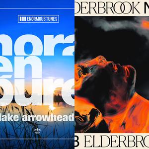 Nora En Pure / Elderbrook-Lake Arrowhead Vs Numb(Mash Up)（CHANGAN / CHENYI / ZhangHFang / 7SKAYG remix）