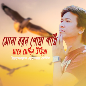 সোনা বরন পোষা পাখি যাবে যেদিন উড়িয়া