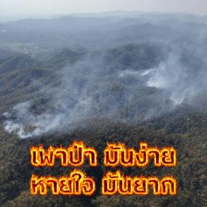 เผาง่าย หายใจยาก #ไฟป่า #ดับไฟป่า #PM25 #พรบอากาศสะอาด
