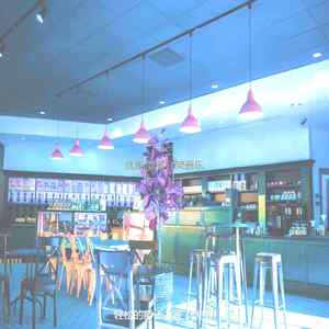 安静的晚上出去声音