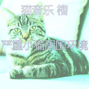 有趣猫午睡时间情怀